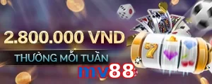 mv88