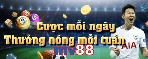 mv88
